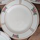 9 old flat plates in Salins ironstone model Nénuphar 24.5cm
