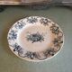 Ancient plate nests and birds