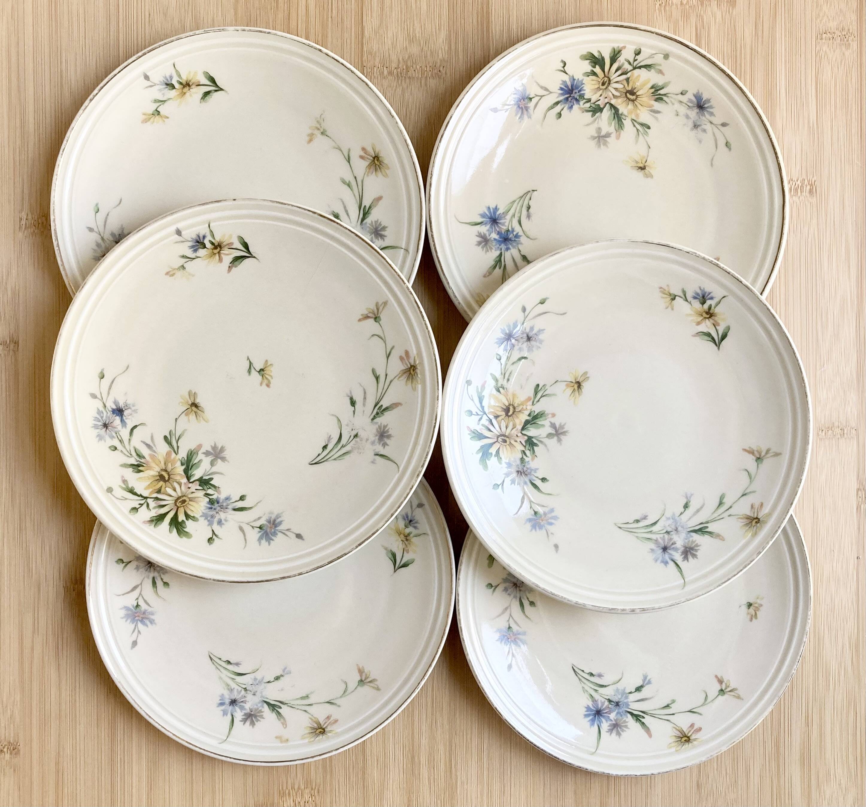 6 Limoges porcelain dessert plates 1915