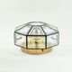 Mid-Century Glass & Brass Ceiling Light from Limburg, Germany, 1960s