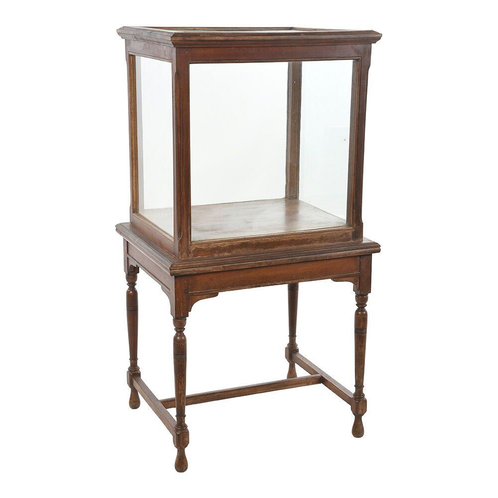 Vitrine de présentation en bois