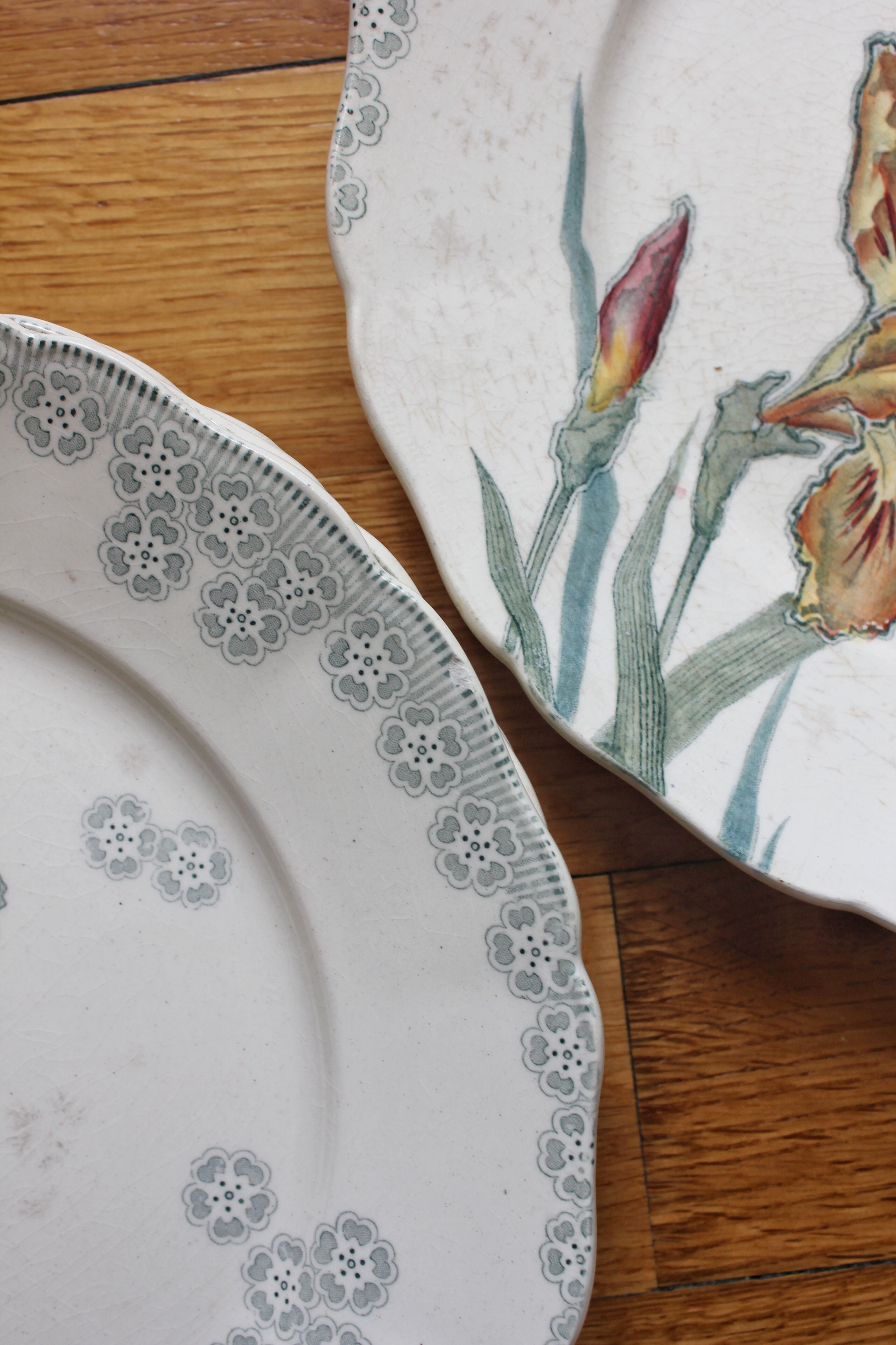 6 large flat plates in polychrome iron earth model "Iris" Choisy-le-Roi