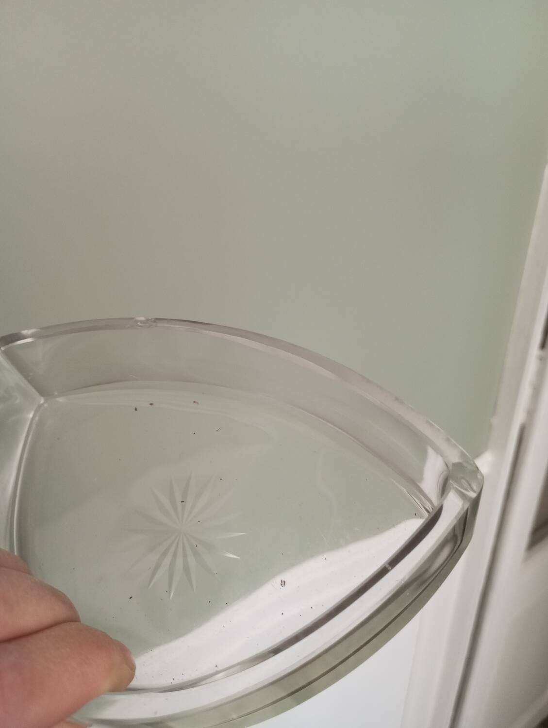 Silver-plated metal appetizer serving tray