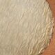 Giorgio Saporiti Post Modern Jada Slipper Chairs, very rare two-tone model, 1970s