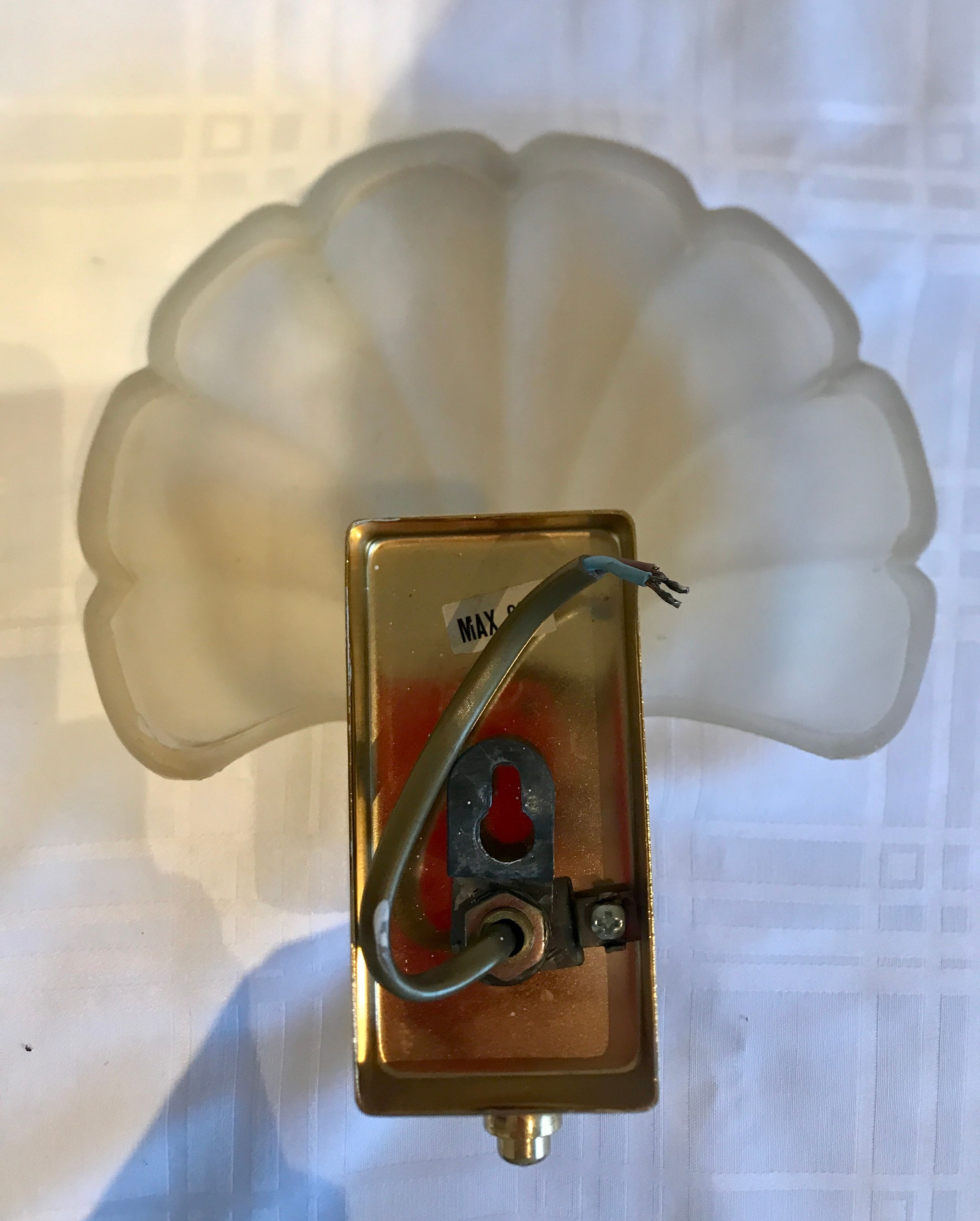 Pair of shell sconces