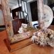 Miroir bois sur socle, patiné, fleurs