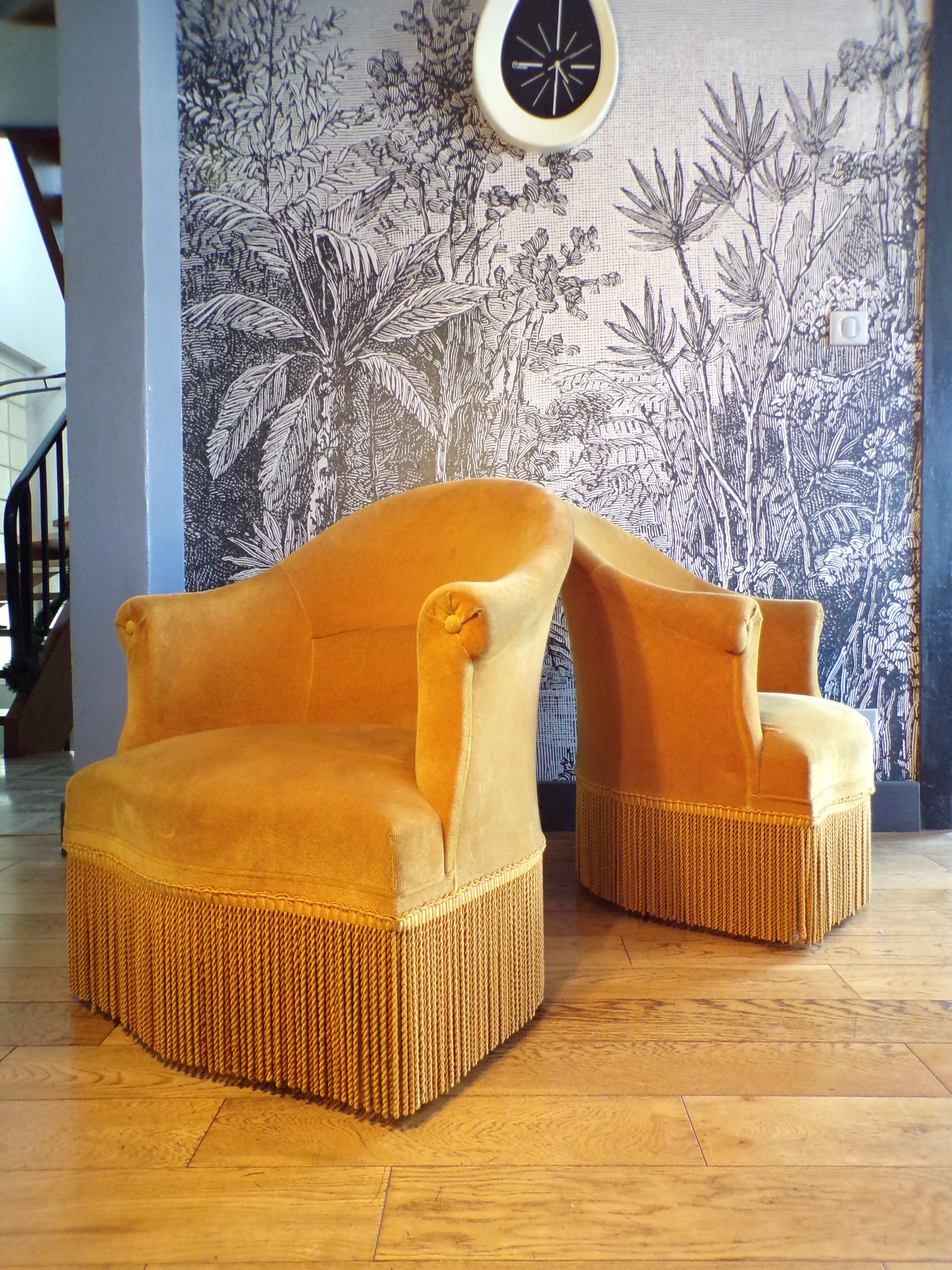 Pair of mustard velvet toad armchairs