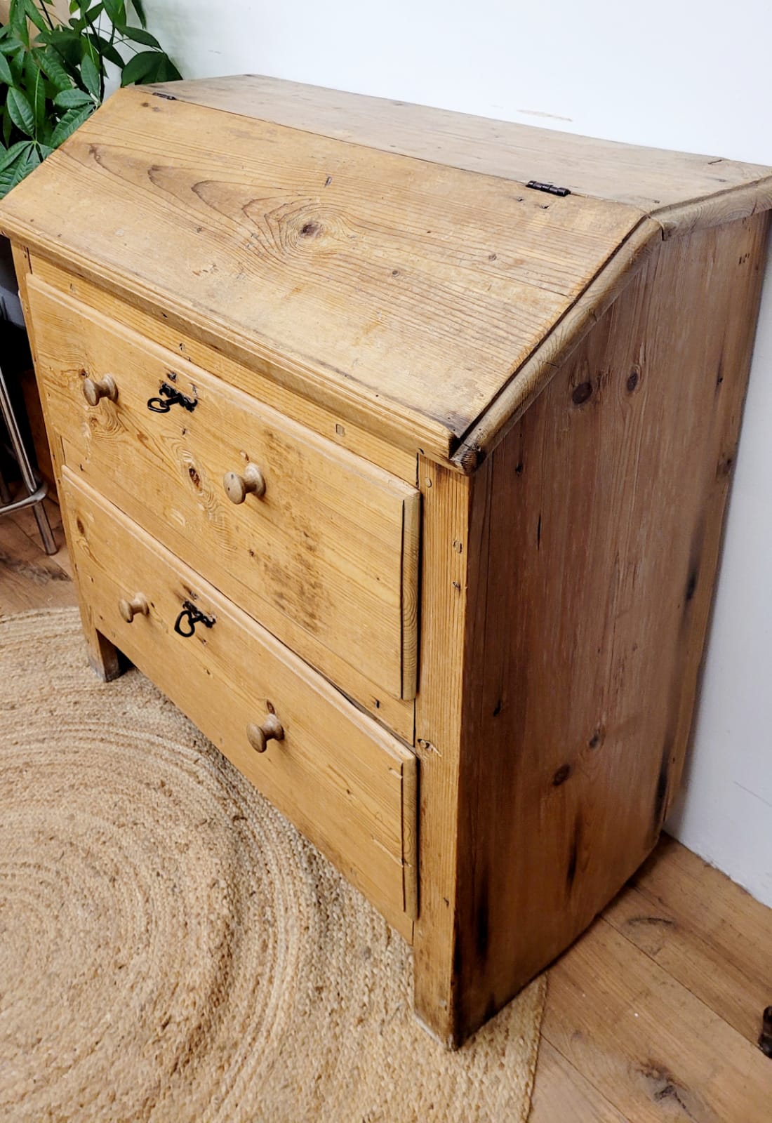 Donkey Back Secretary