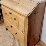 Donkey Back Secretary