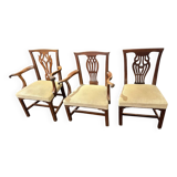 English dining chairs – Carver chairs – Hepplewhite style