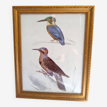 Painting 2 birds