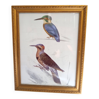 Painting 2 birds
