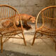 Fauteuils en rotin