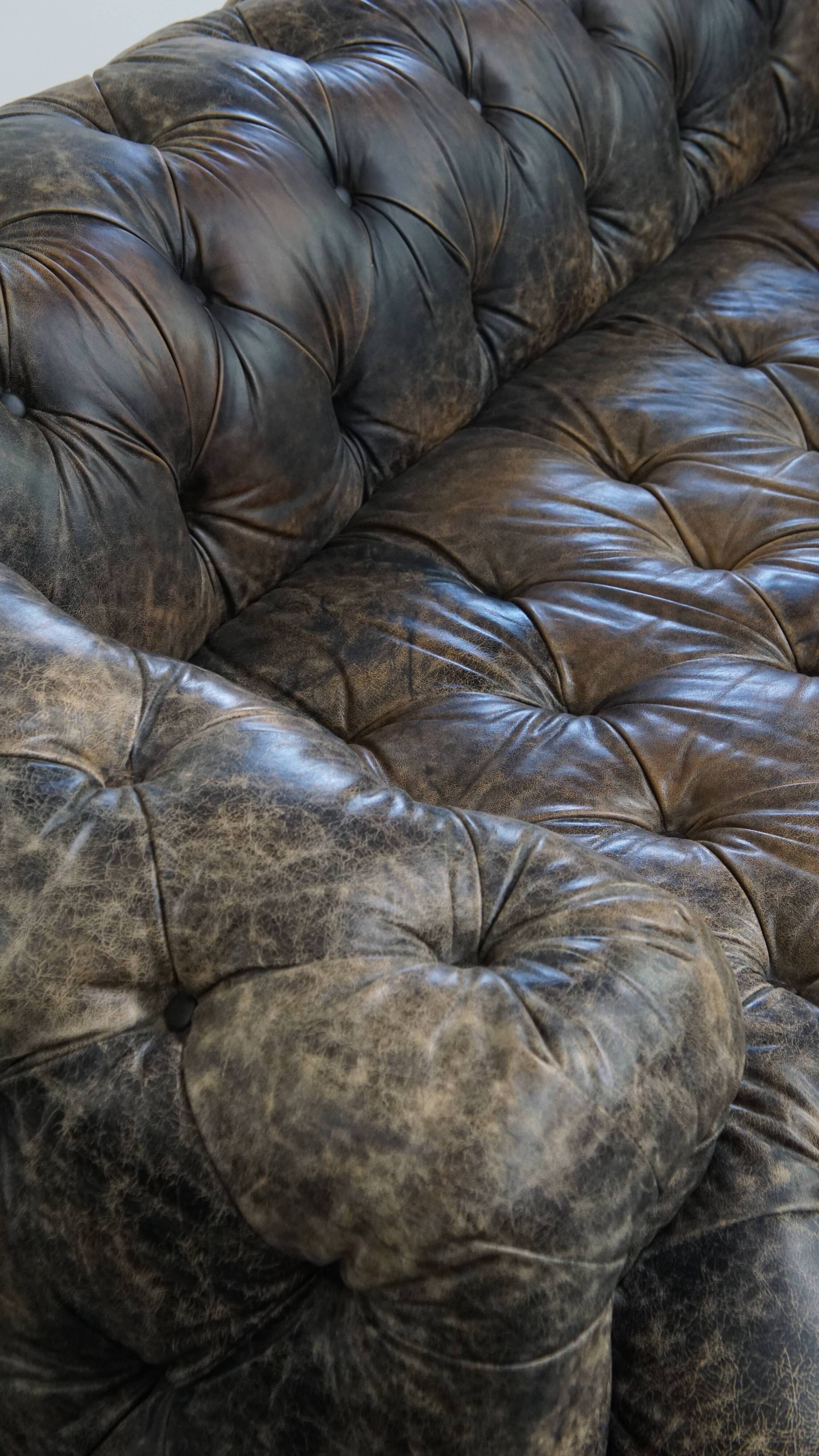 Chesterfield cowhide sofa