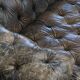 Chesterfield cowhide sofa