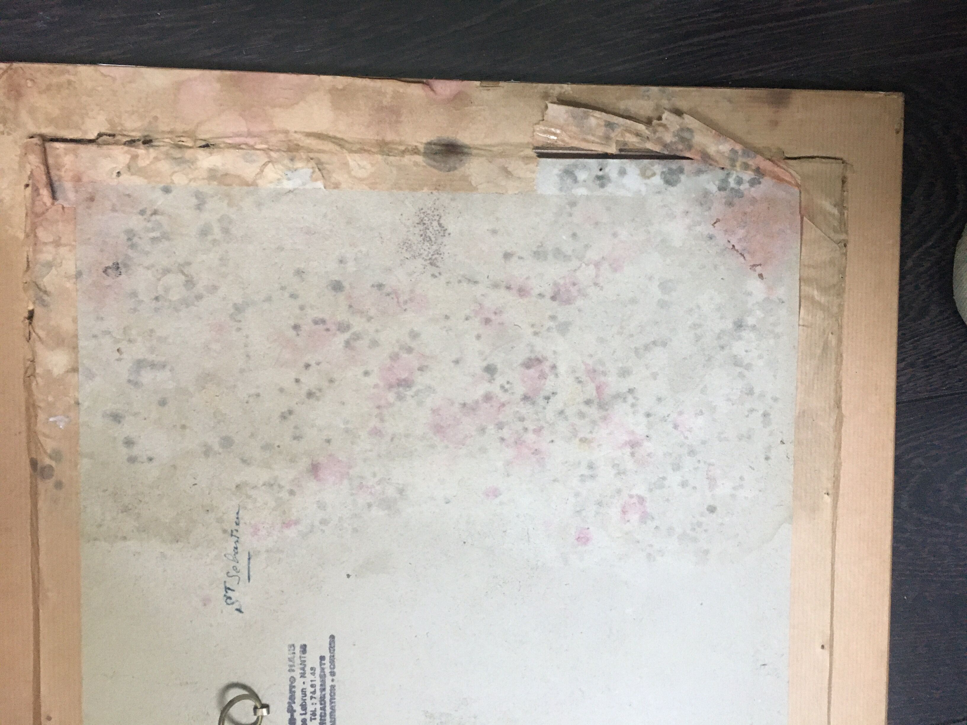 Watercolor signed and dated Donatien Roy representing Saint Sebastian on Loire