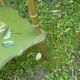 wooden side table painted flowers