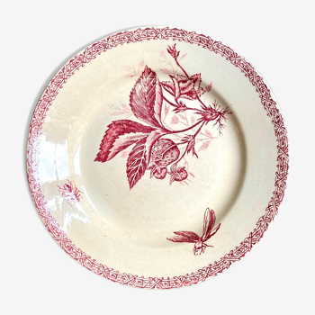 Choisy le Roi flat plate in pink iron earth