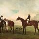 English watercolor reproduction of 20th century equestrian horse