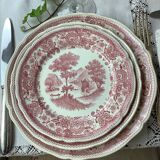 6 Villeroy and Boch Dinner Plates