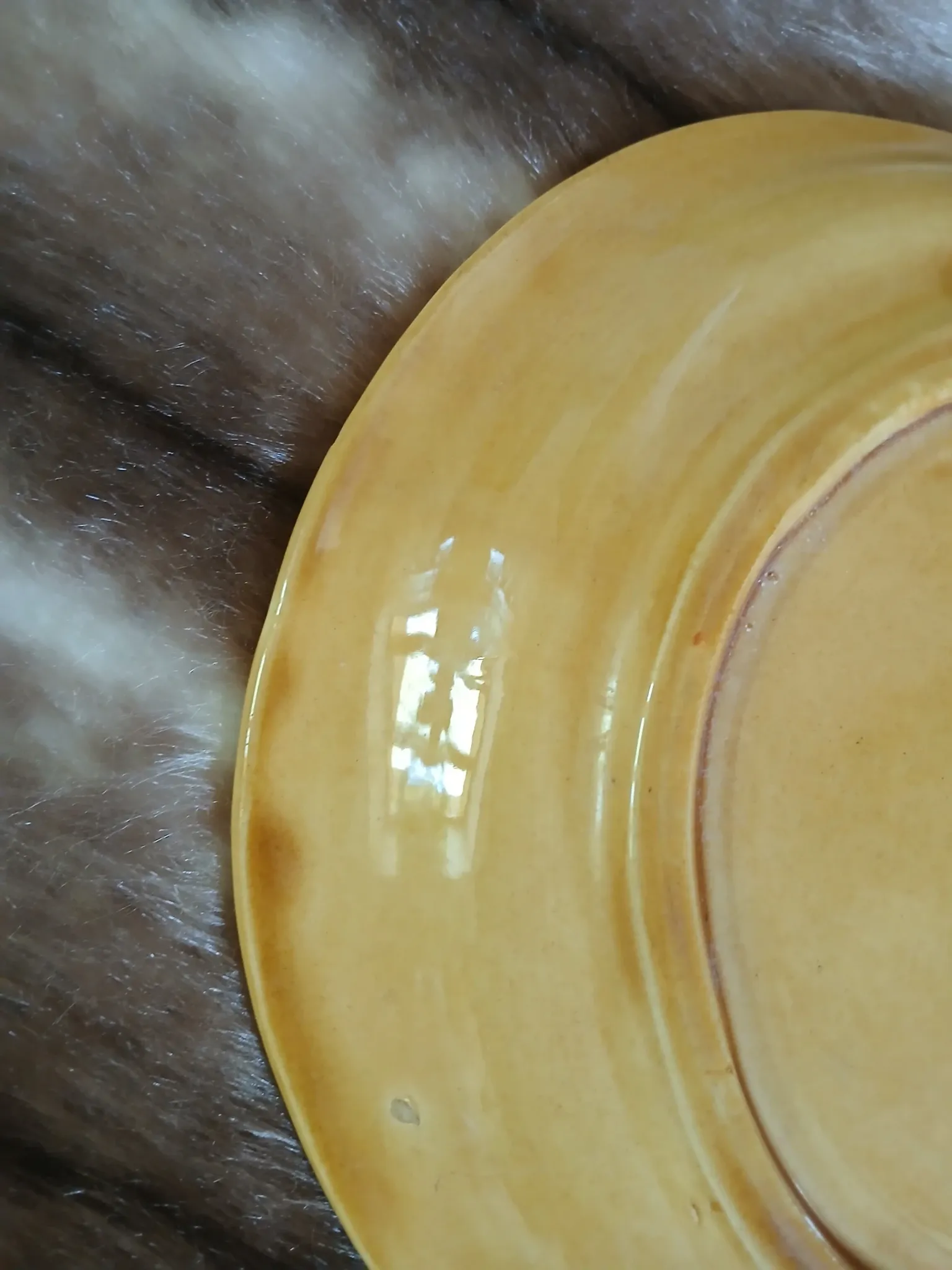 Old slipware plate