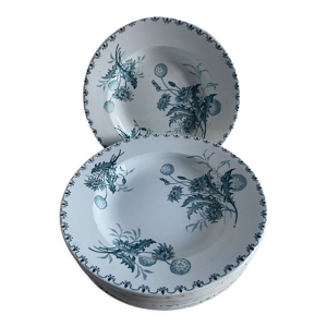Lot de 10 assiettes creuses Terre