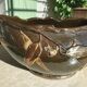 Ceramic planter