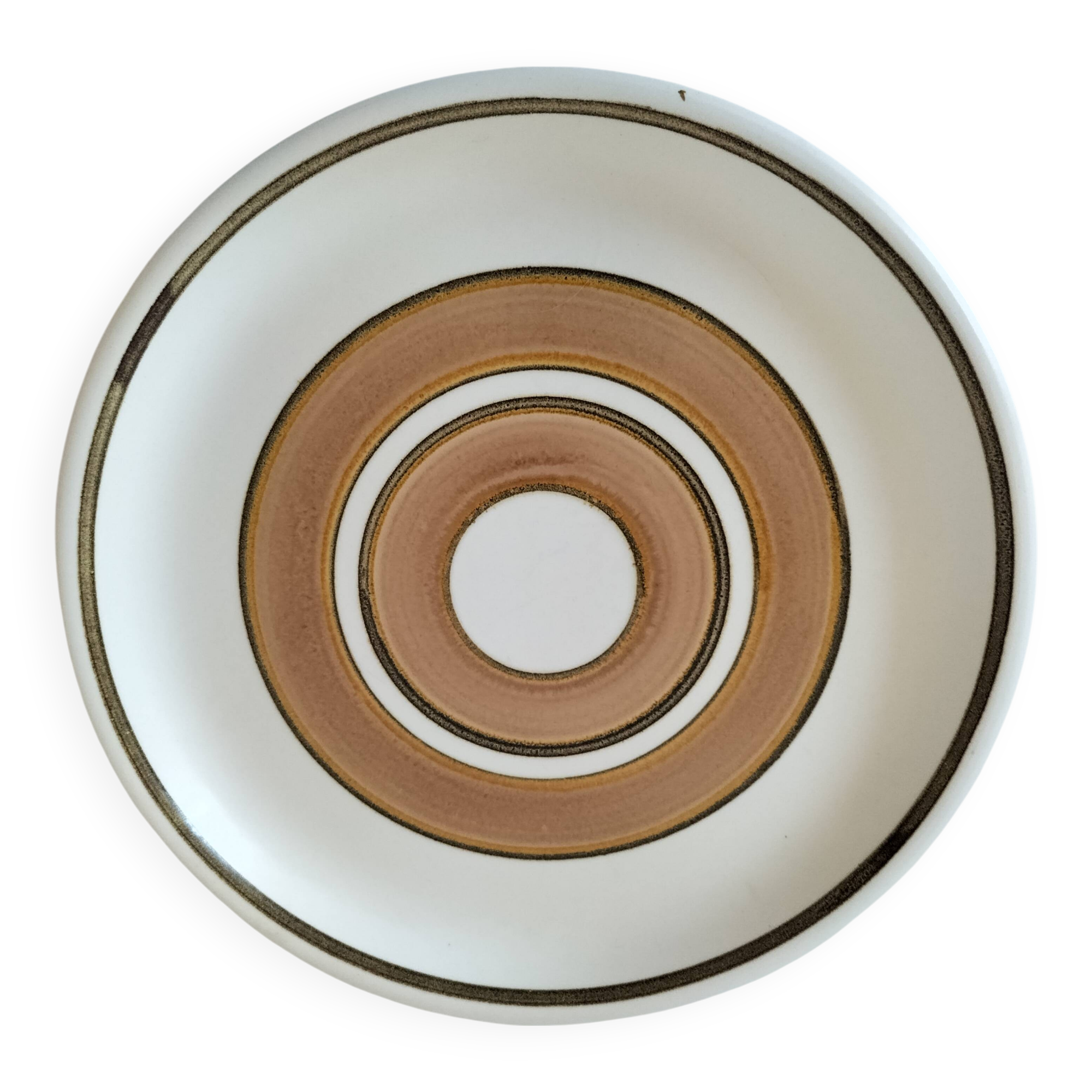 Vintage Salins plate