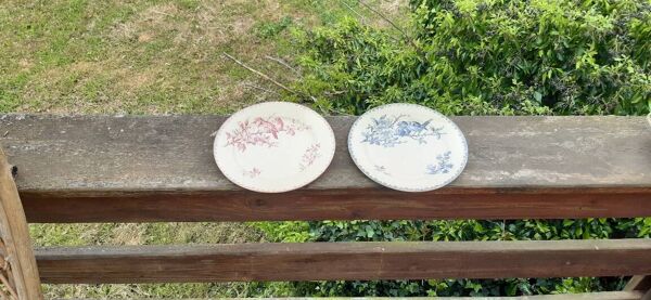 Lot de 2 assiettes Sarreguemines modèle Favori