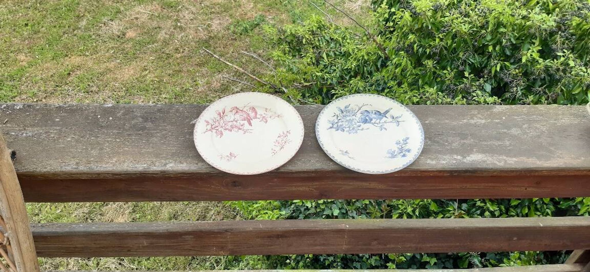 Lot de 2 assiettes Sarreguemines modèle Favori