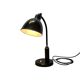 Grapholux Desk Lamp by Christian Dell for Molitor, 1930s
