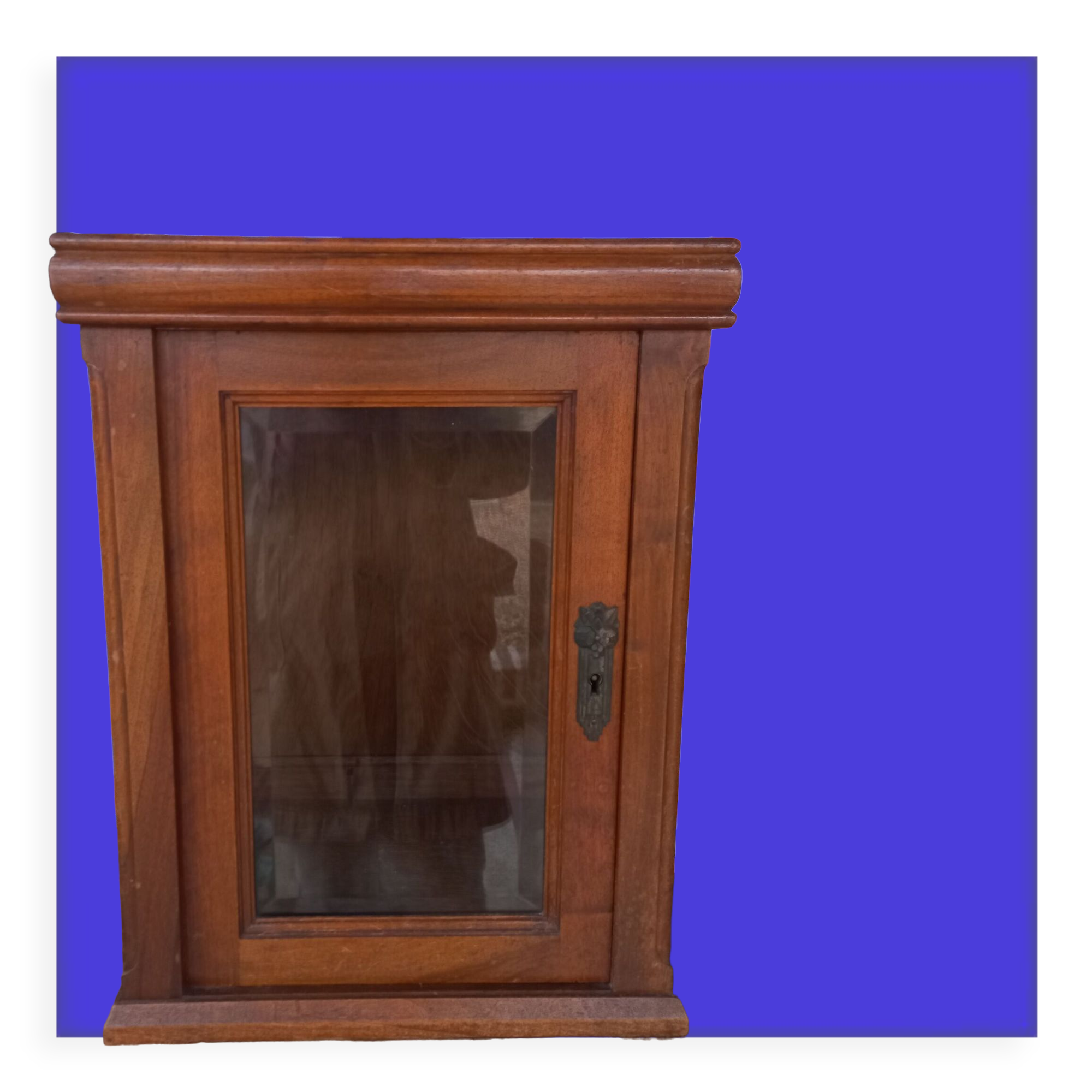 Chevat showcase wood glass
