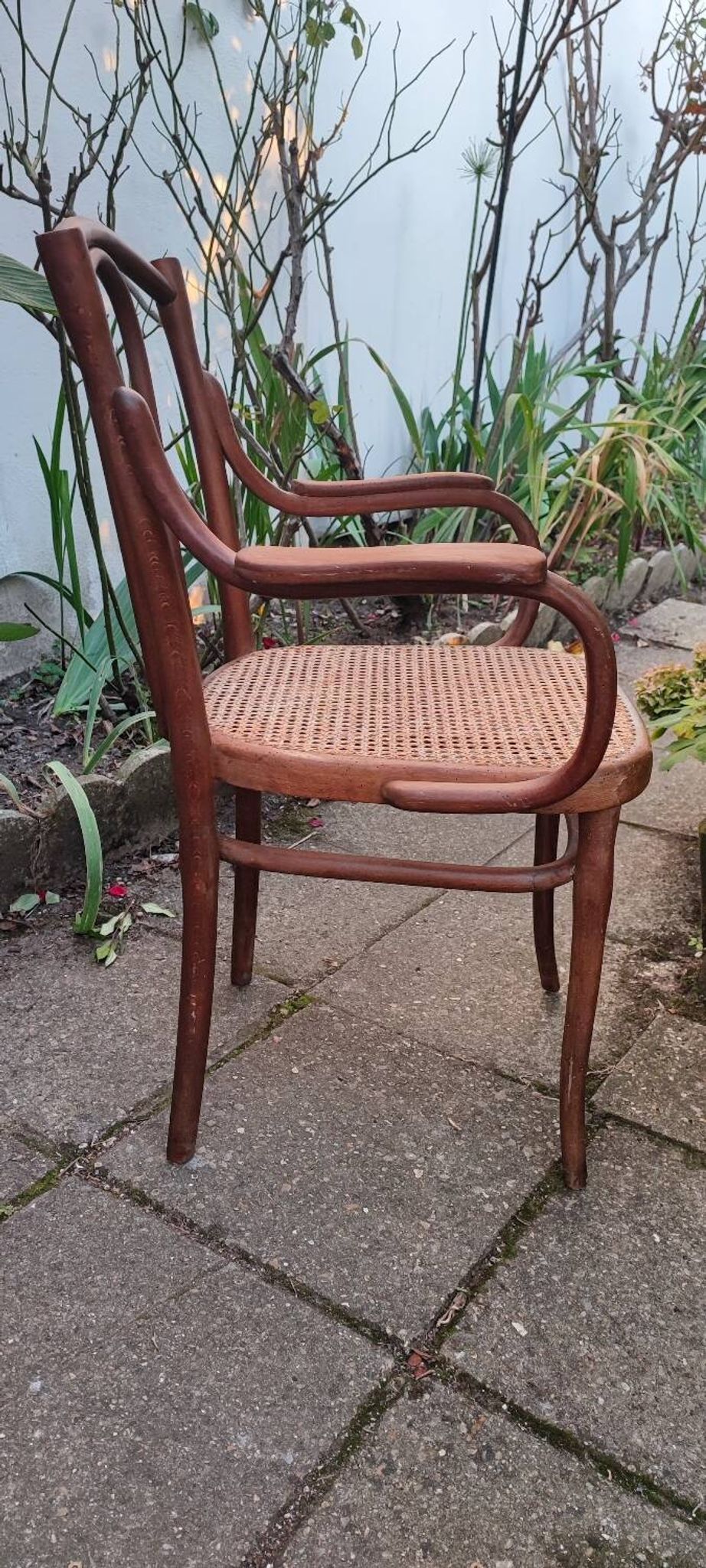 Thonet armchair no. 56