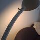 Martinelli Luce Flex Lamp