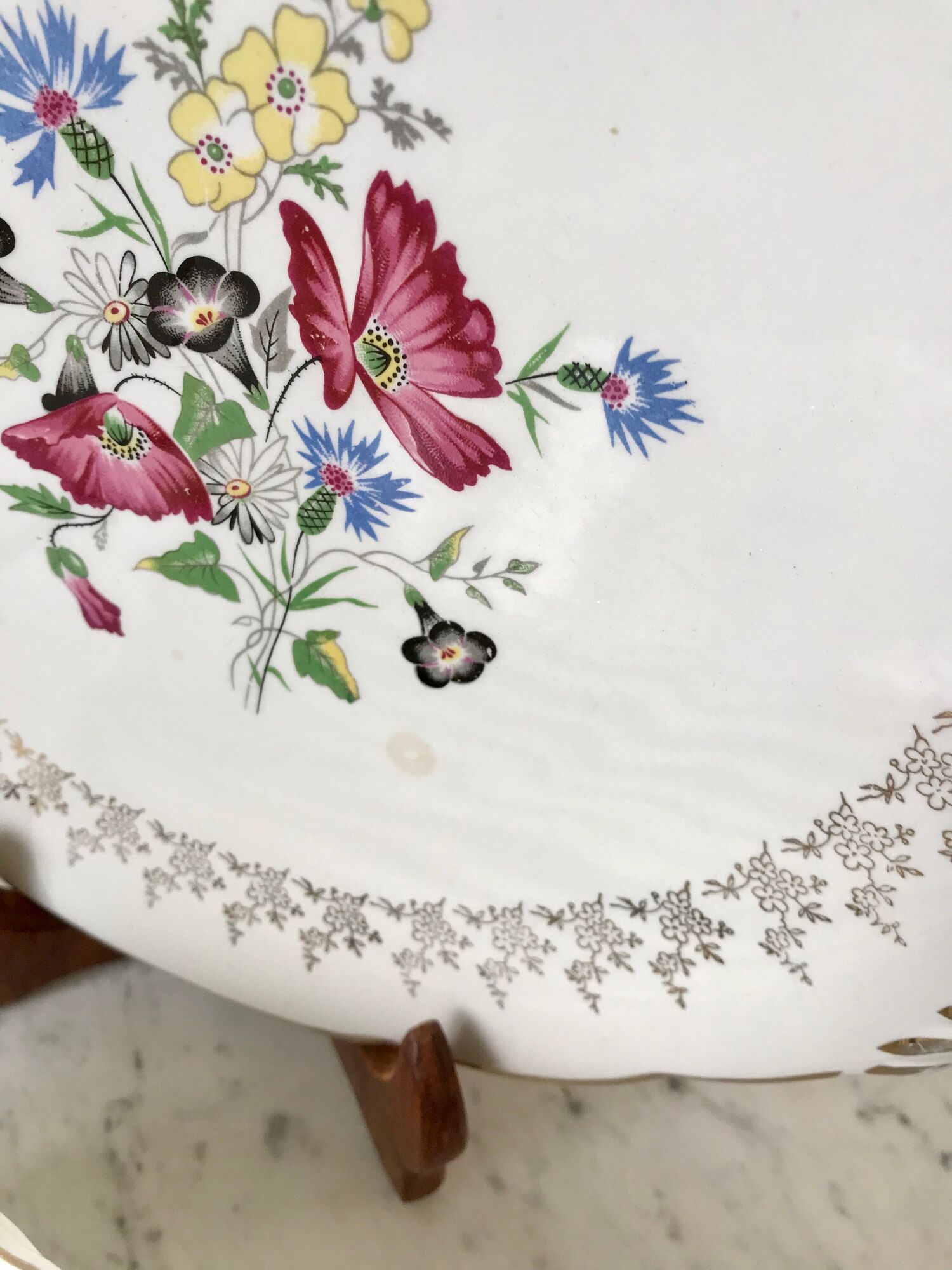 Dessert service cake dish and 10 dessert plates Digoin Sarreguemines Pamplona 50s