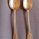 Set of 2 silver-plated metal spoons
