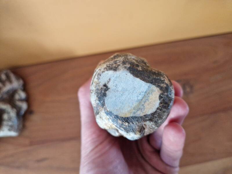 Pomdo statue of the Kissi people of Guinea - Carved stone