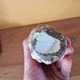 Pomdo statue of the Kissi people of Guinea - Carved stone