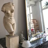 Ancient venus status