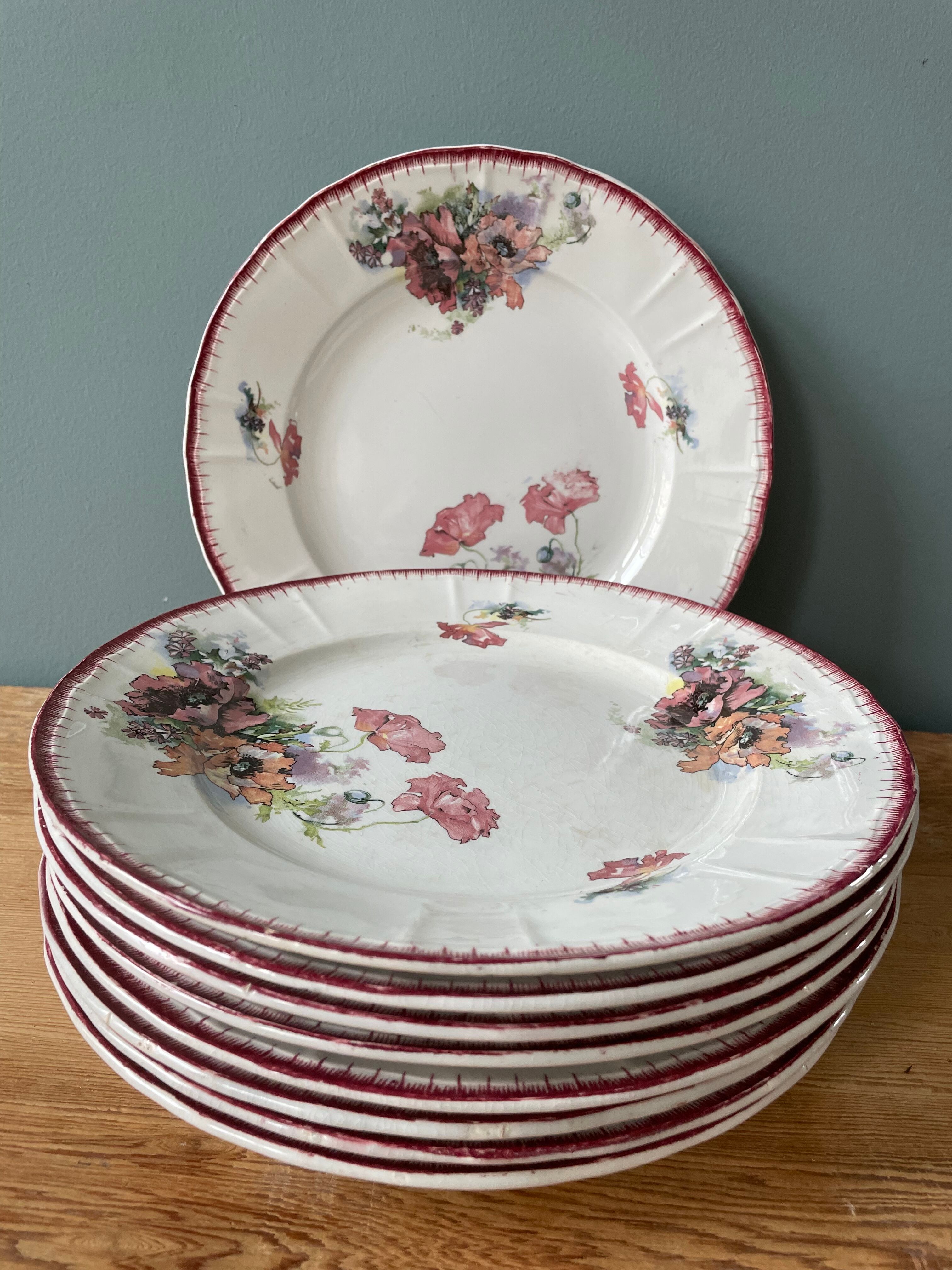 Lot de 9 assiettes plates Terre de Fer modèle « Pavots » St Amand & Hamage Nord