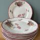 Lot de 9 assiettes plates Terre de Fer modèle « Pavots » St Amand & Hamage Nord
