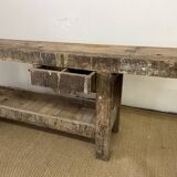 Established in old wood