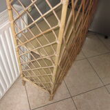 rattan age from the 1960s
