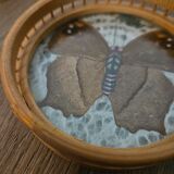 Rattan tray and coasters
