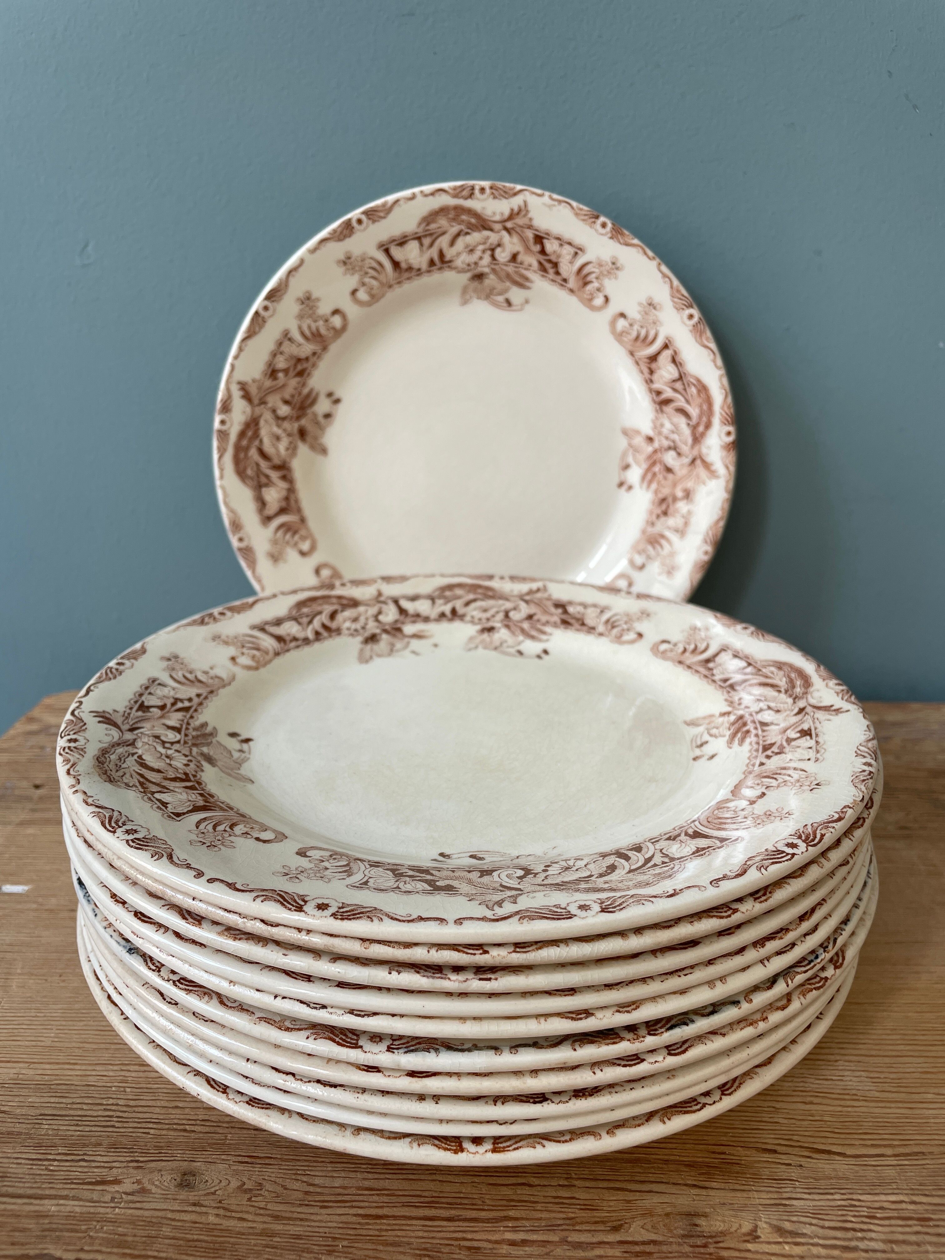 Series of 11 plates Creil and Montereau, Ceylon service