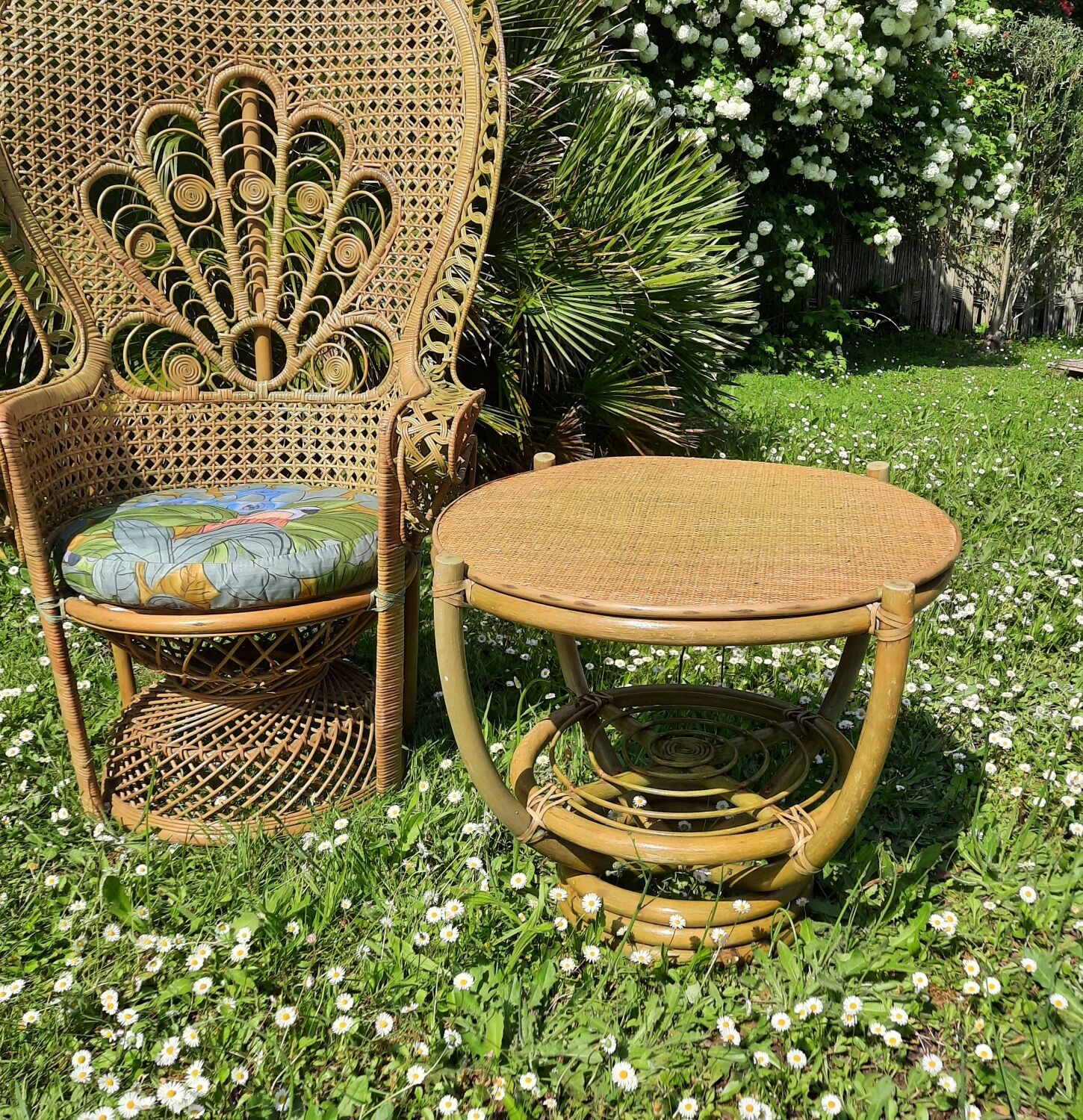 Fauteuil "Emmanuelle"