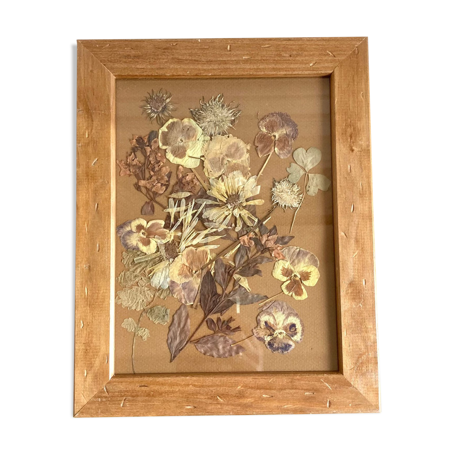 Herbarium frame