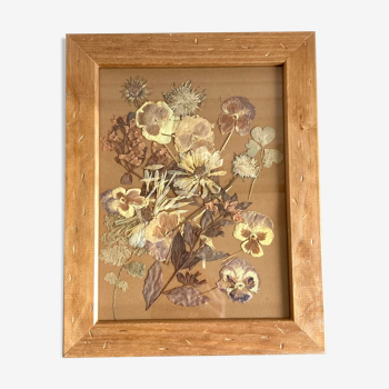 Herbarium frame