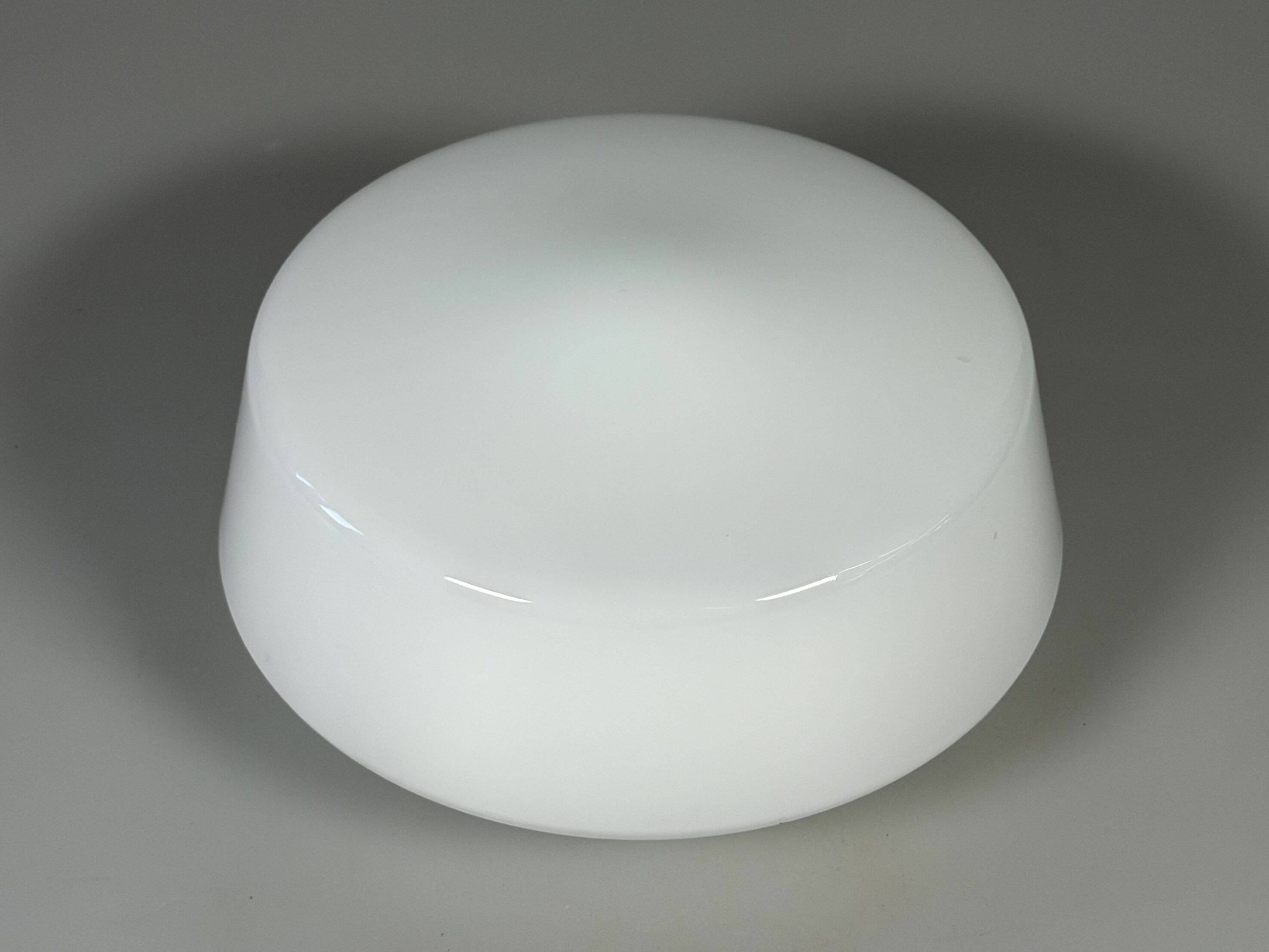 1950s 1960s Ceiling Light Flush Mount from RZB Leuchten Germany Mid Century