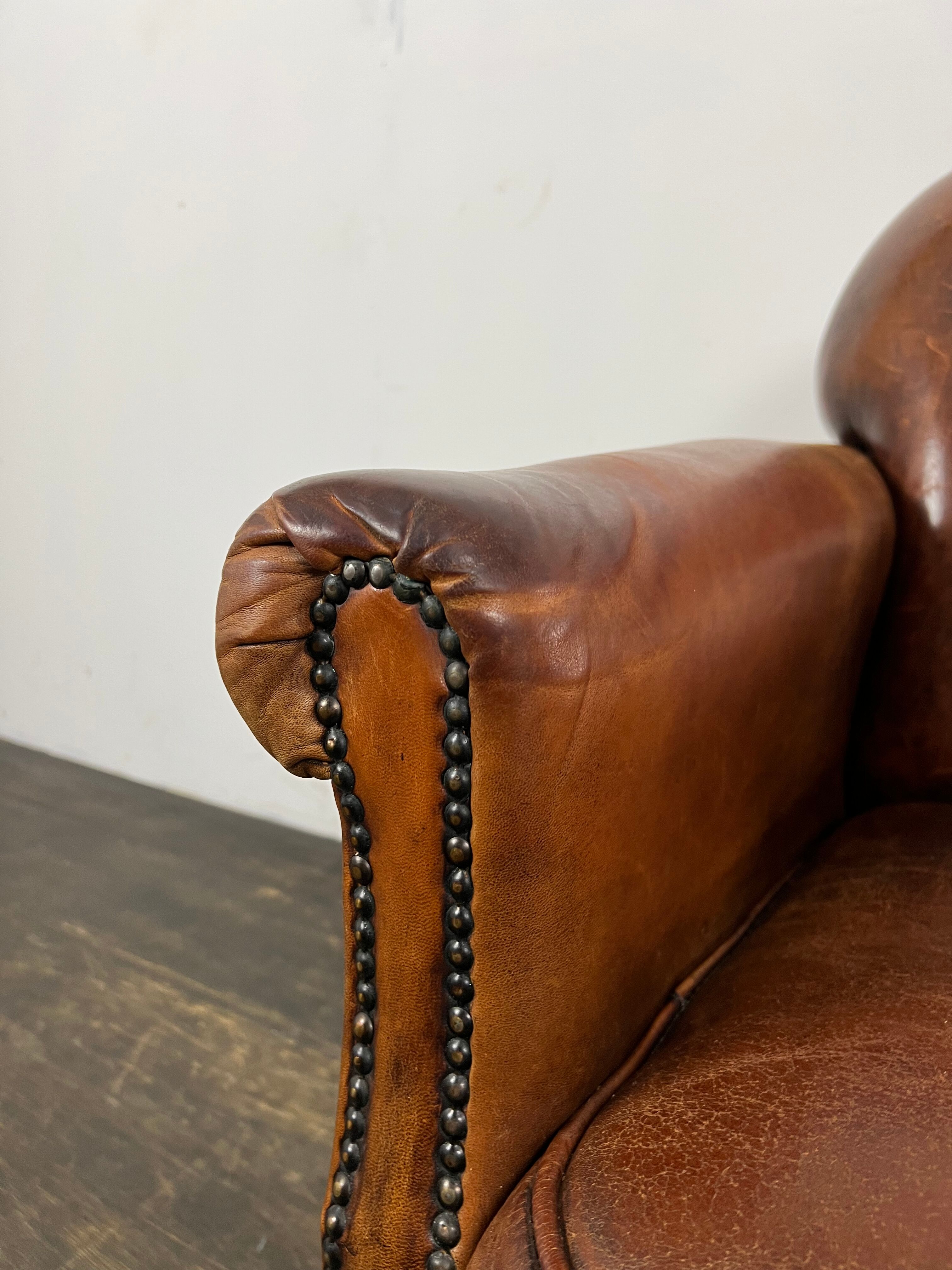 Club chair sheep leather